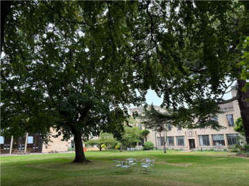 St Anne's College gardens - a lawn, large tree and some chairs are in the foreground with college buildings in the background